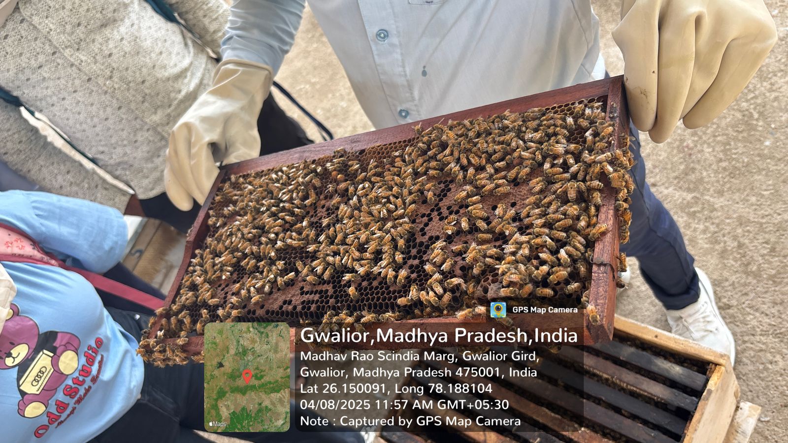 Molecular Biology lab image